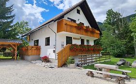 Apartmaji Gaby